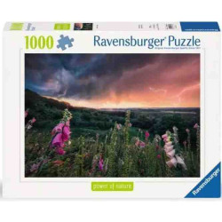 DREAMY THUNDER 1000 pcs. Puzzle Ravensburger 793
